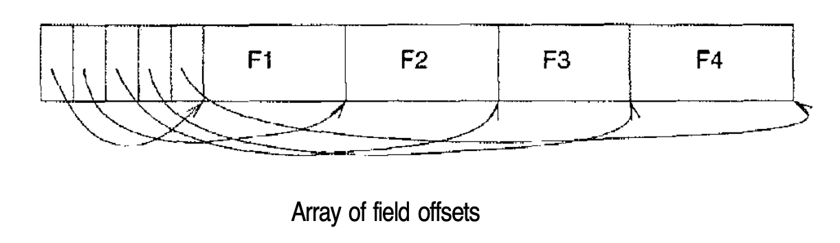 Variable Length Record